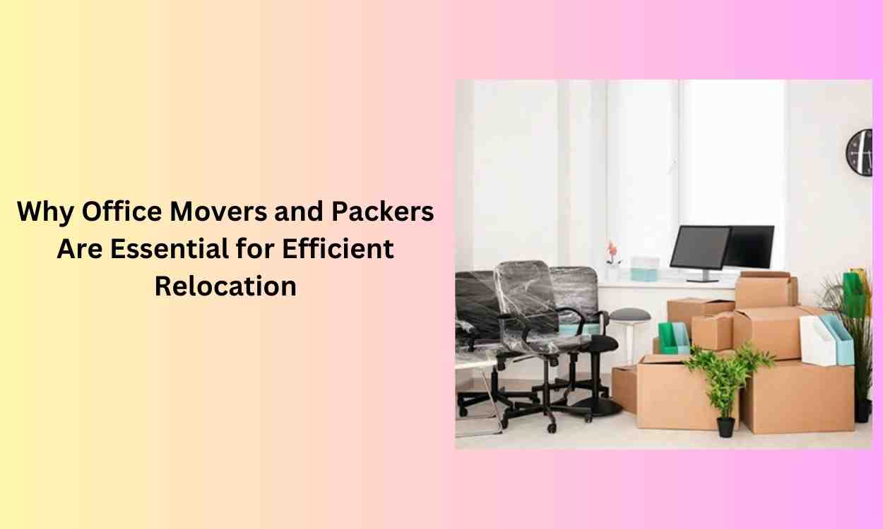 Why Office Movers and Packers Are Essential for Efficient Relocation