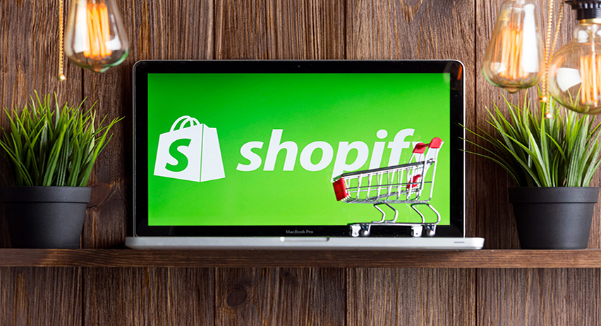 Shopify Automation for 7-Figure Success