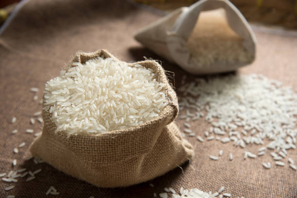 exporter of rice in India