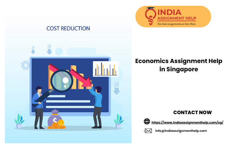 Economics Assignment Help in Singapore