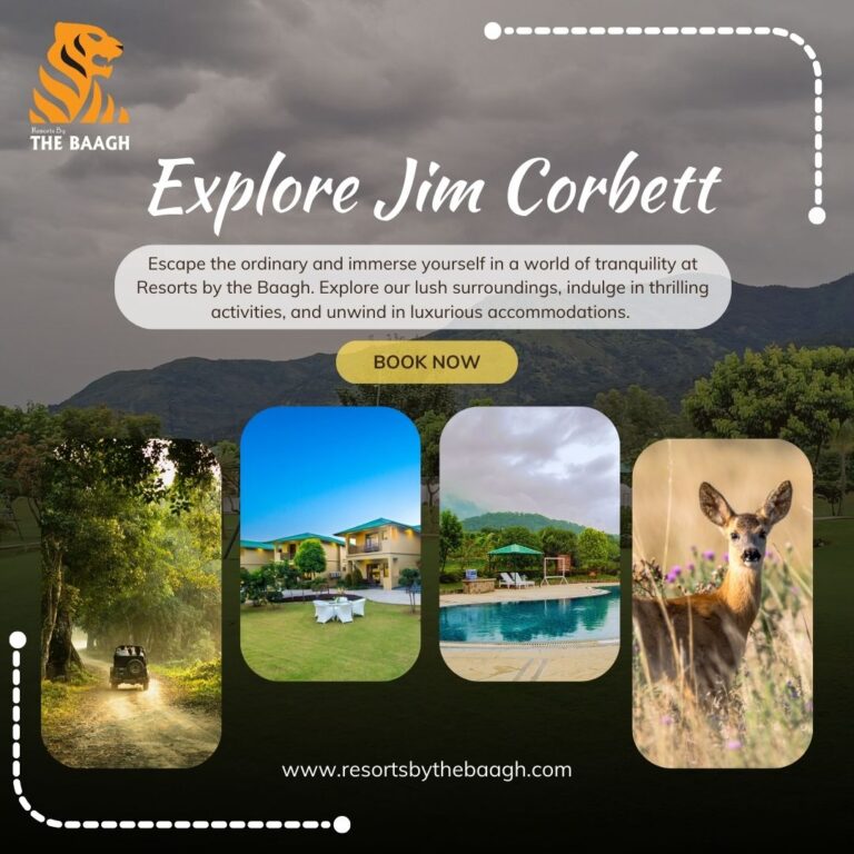 resorts in jimcorbett
