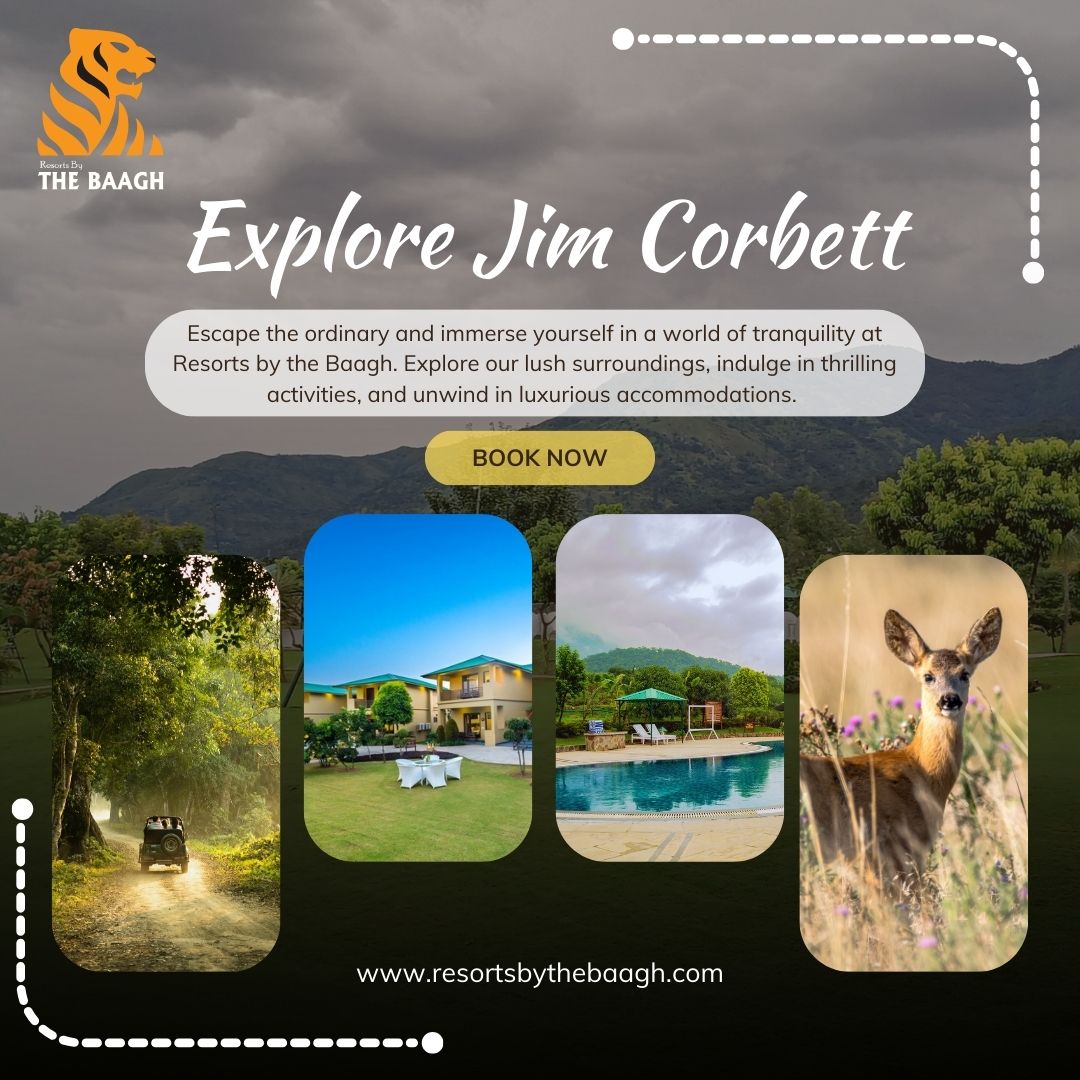 resorts in jimcorbett