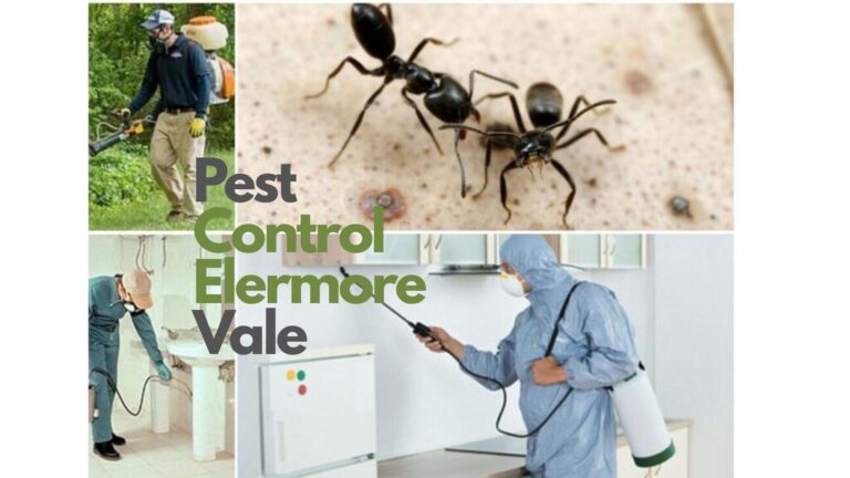 Pest Control Elermore Vale: Protecting Homes and Businesses from Unwanted Pests