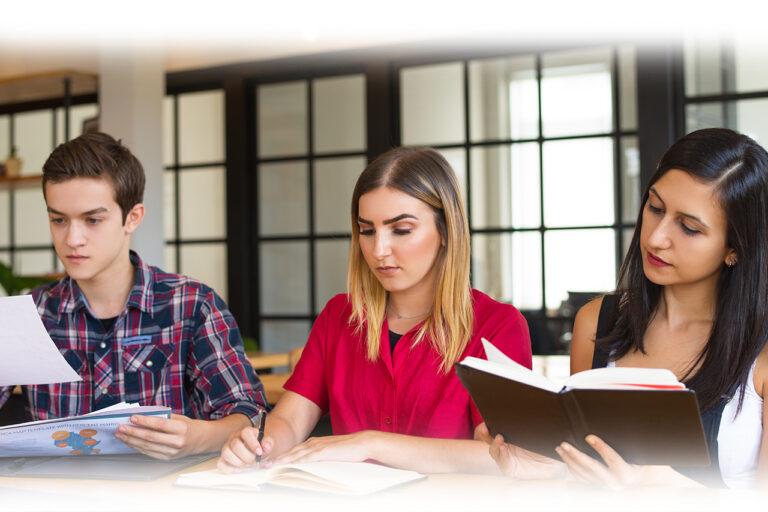 IT Degree Programs in Turkey